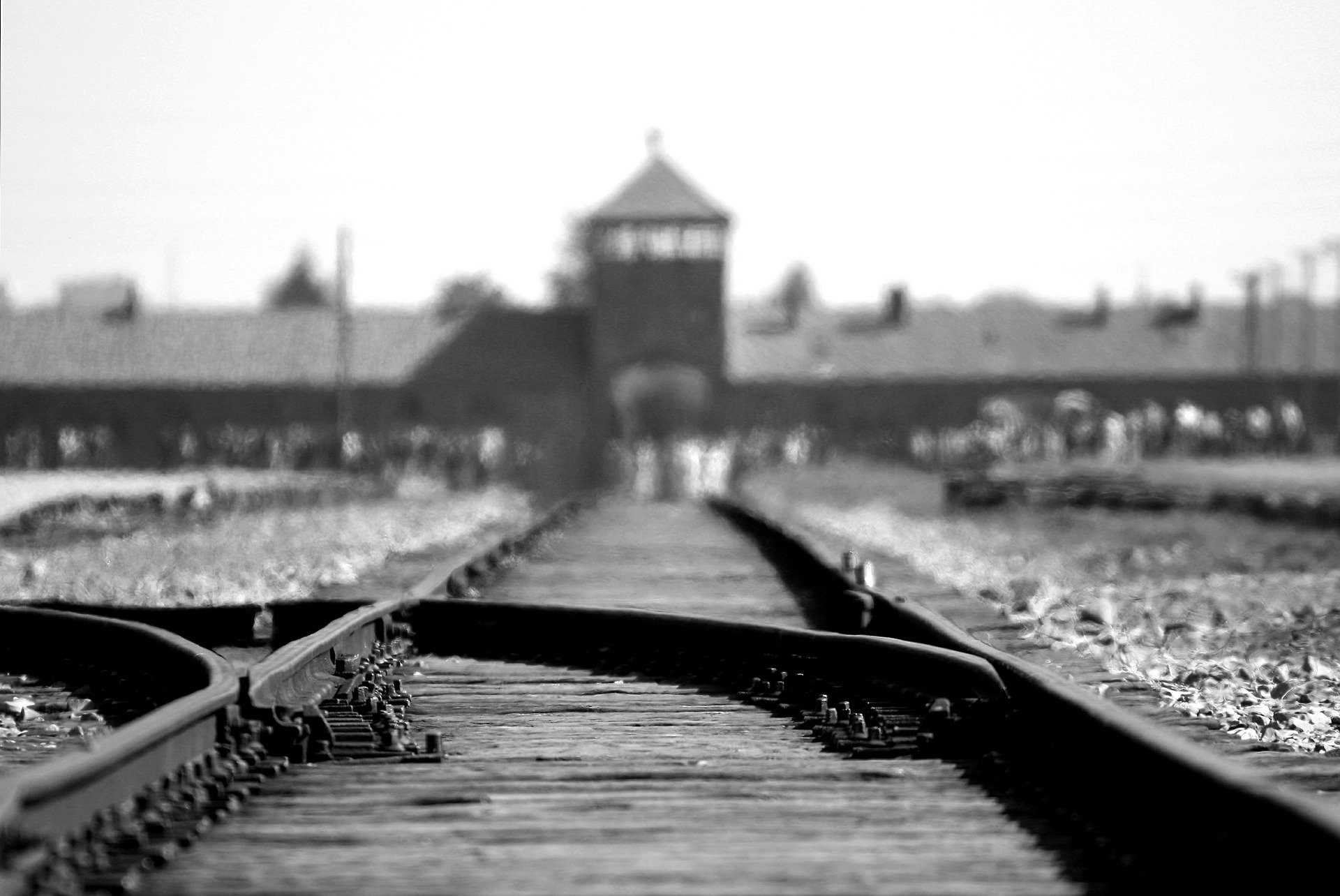 Auschwitz-Museum mit antisemitischem Graffiti beschmiert