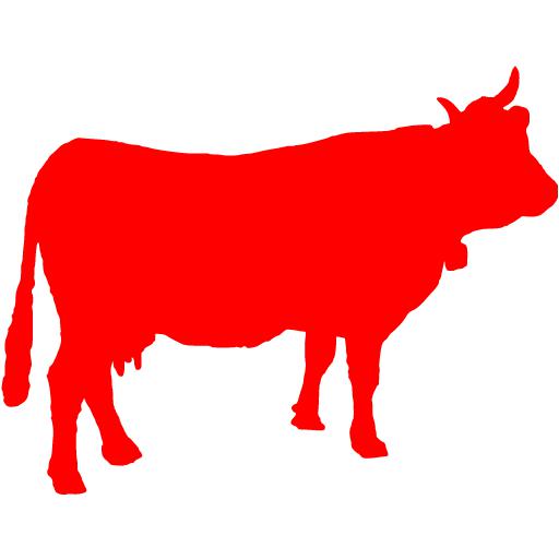 Parascha Para: Die rote Kuh