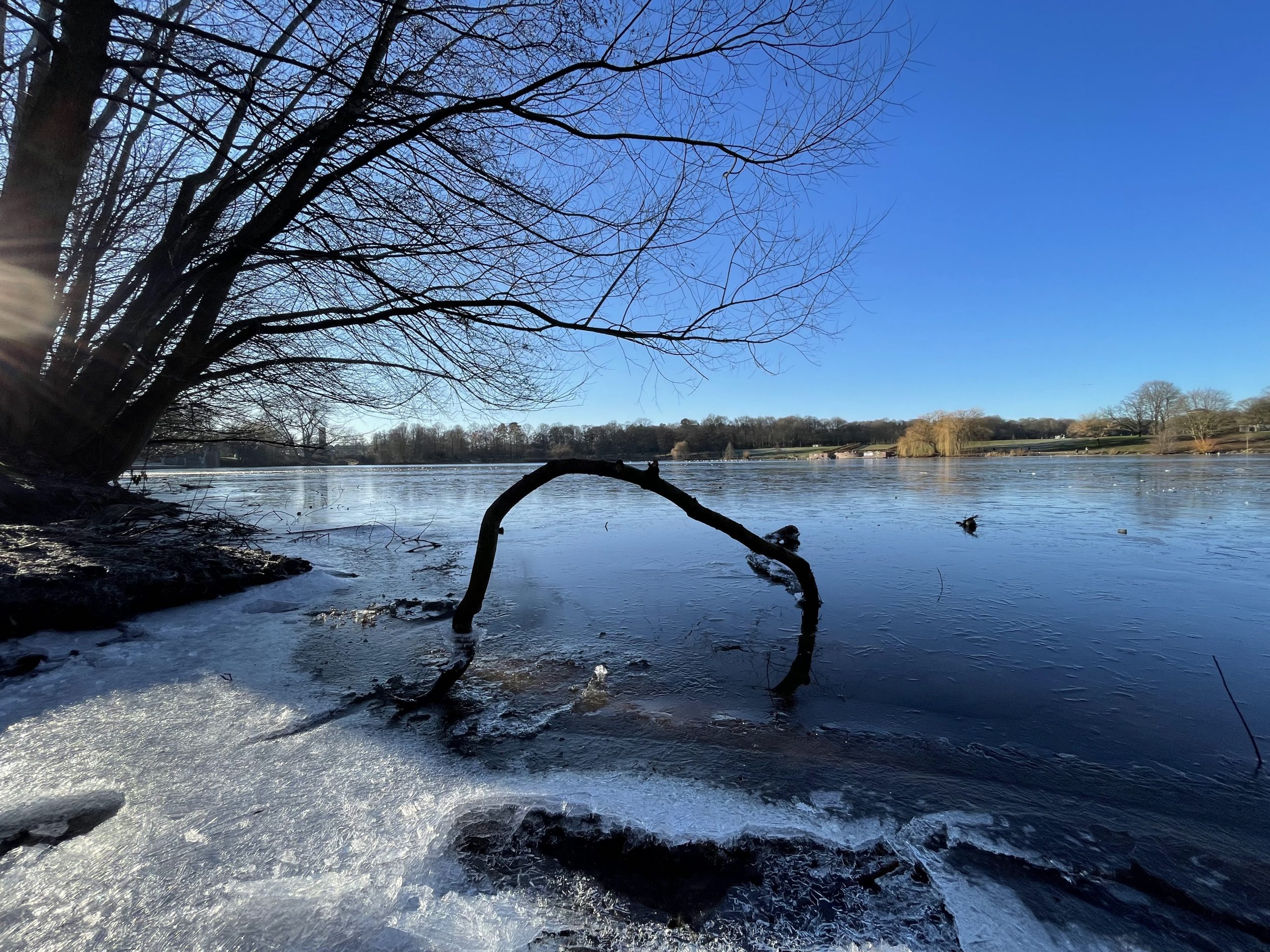 Stadtpark im Winter | Foto: © Armin Levy