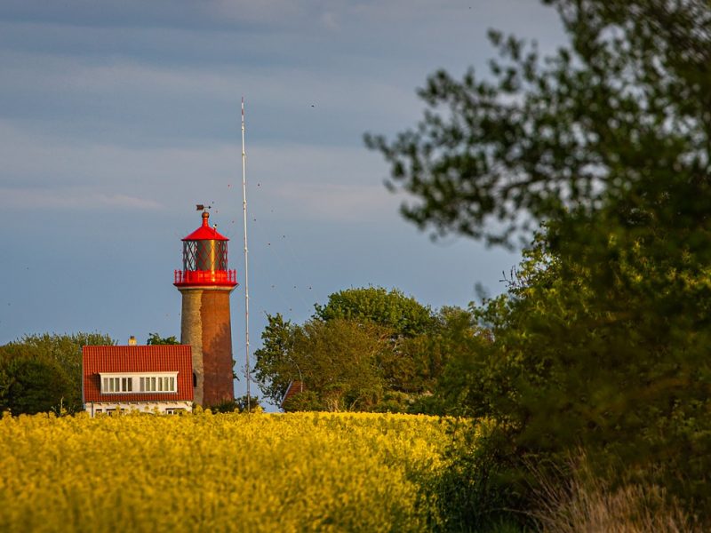 „Meet a Jew“ – Mann beschuldigt gefälschte Holocaust-Geschichte zu verbreiten