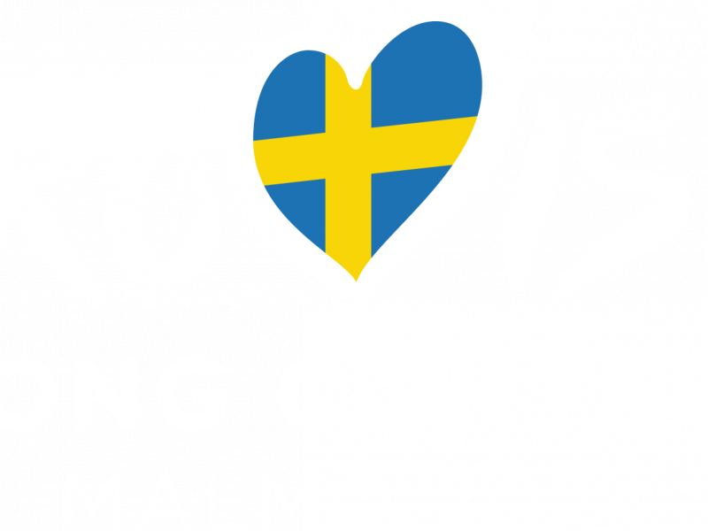 Israel belegt fünften Platz beim Eurovision Song Contest