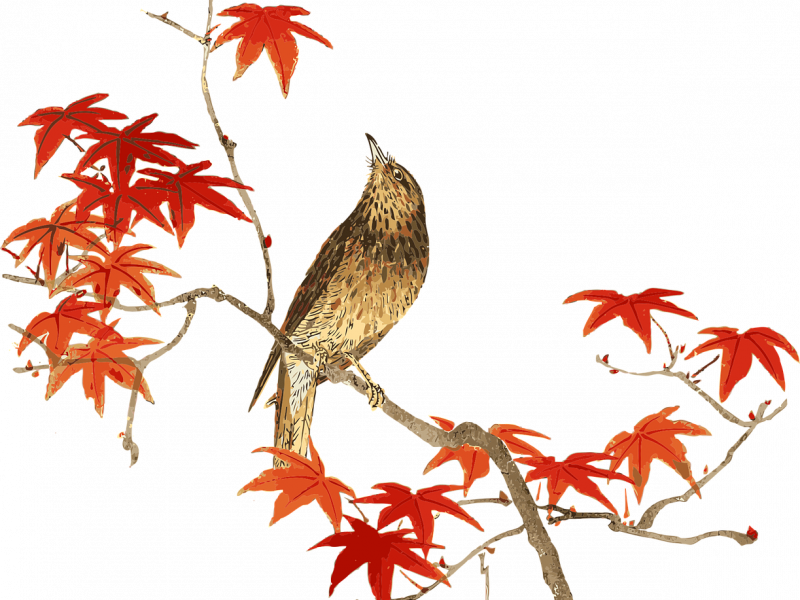 Warum die jüdische „Nachtigall des Irans“ sein Land verließ