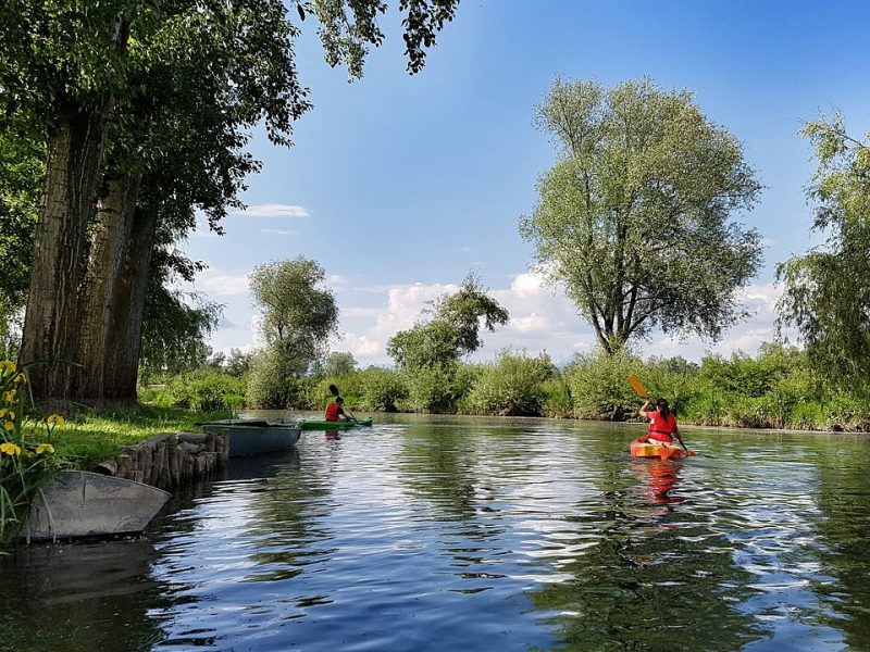 Mit dem Paddel gegen den Plastikmüll: Die GreenKayaks sind wieder in Hamburg unterwegs
