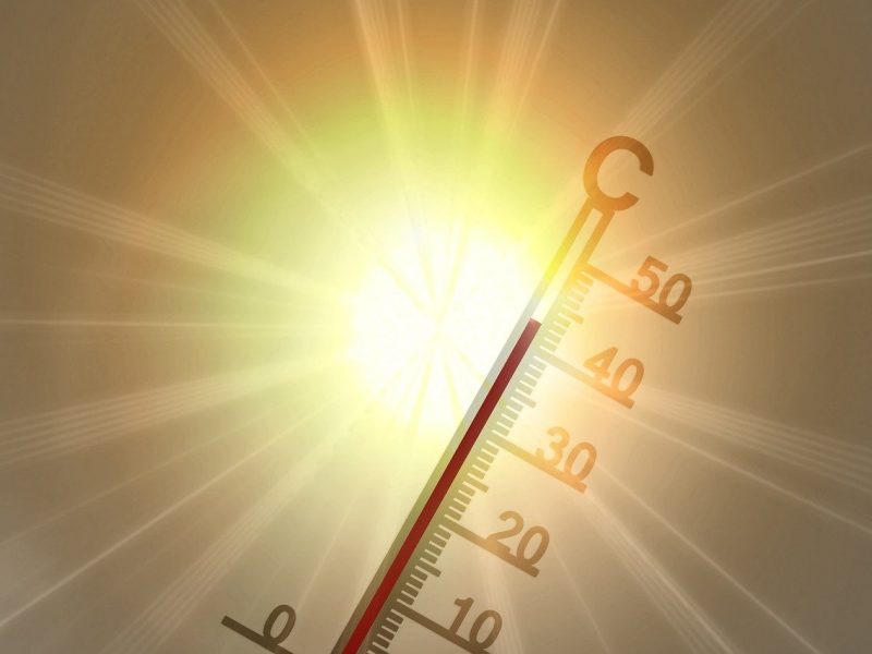 Hitzeschutz in Hamburg: Wenn der Sommer zur Herausforderung wir