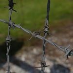 Stacheldraht vor dem KZ Dachau