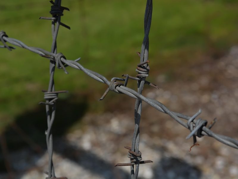 Kosmetikunternehmen Weleda untersucht Verbindungen zu Experimenten im KZ Dachau