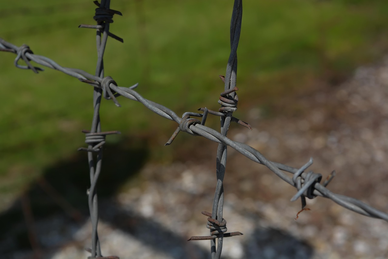 Stacheldraht vor dem KZ Dachau